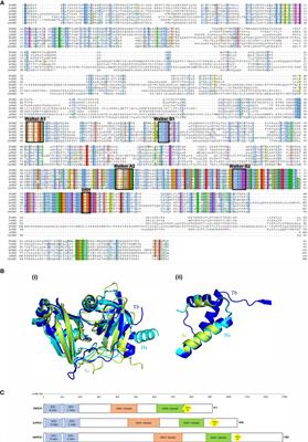 PEX1 is essential for glycosome biogenesis and trypanosomatid parasite survival